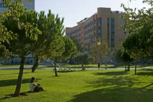 Le camp en été pour les adolescents à Valencia 4